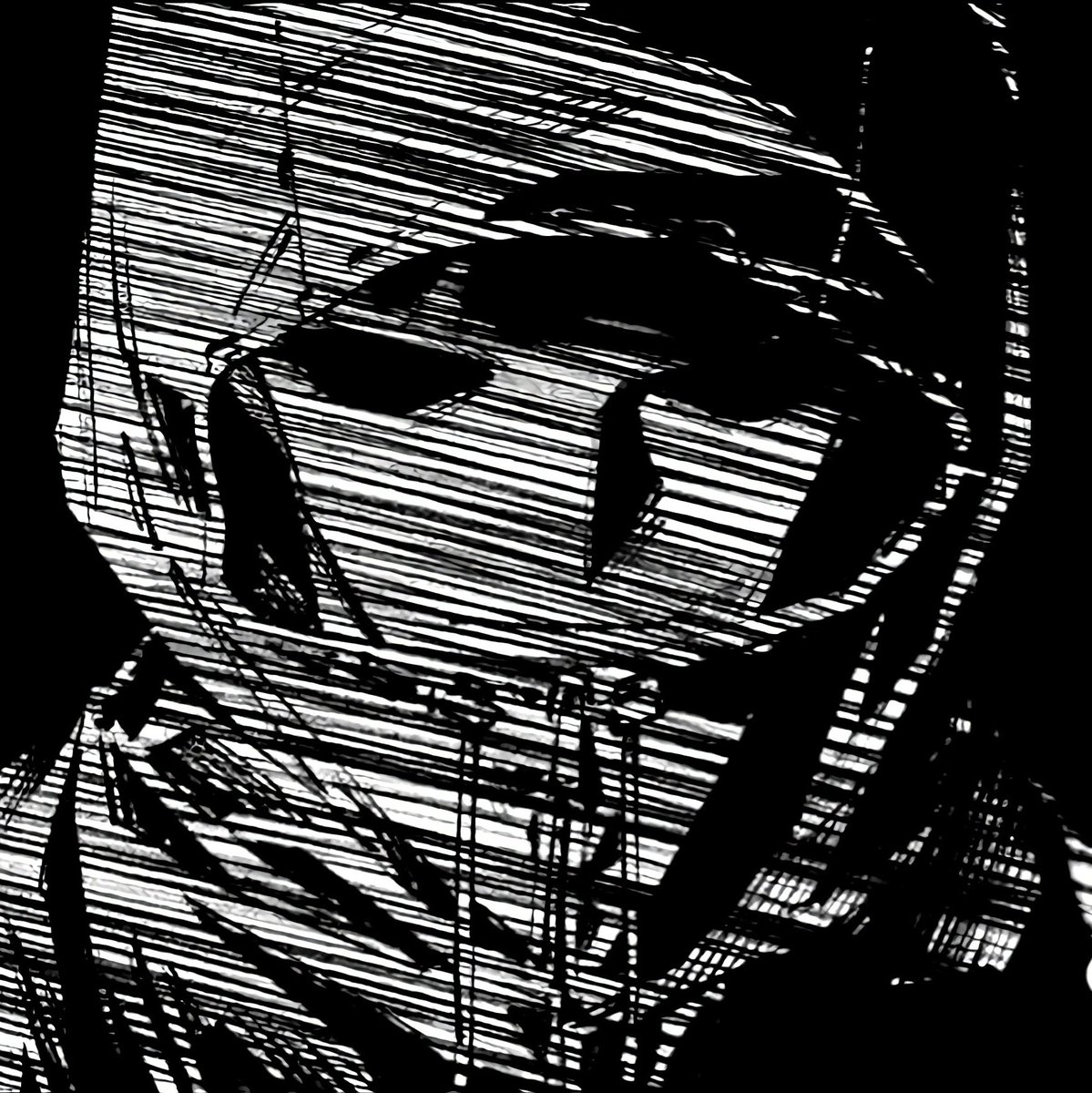 No Name 🍉 tweet media