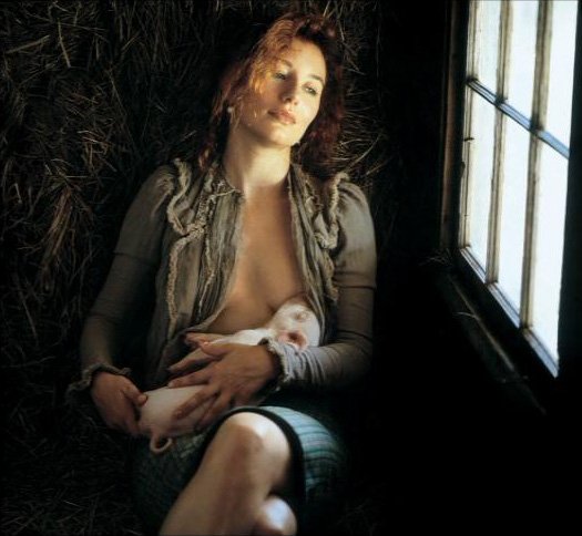 acervo tori amos tweet media