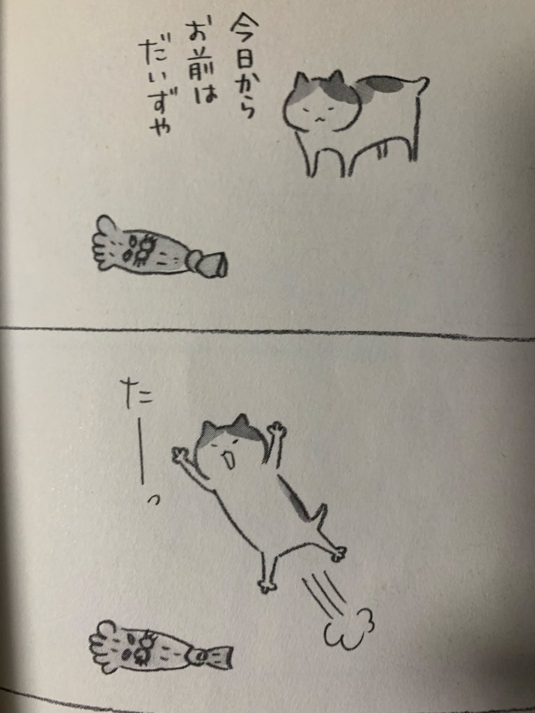 ⭐️ まめねこ ⭐️ まめねこ