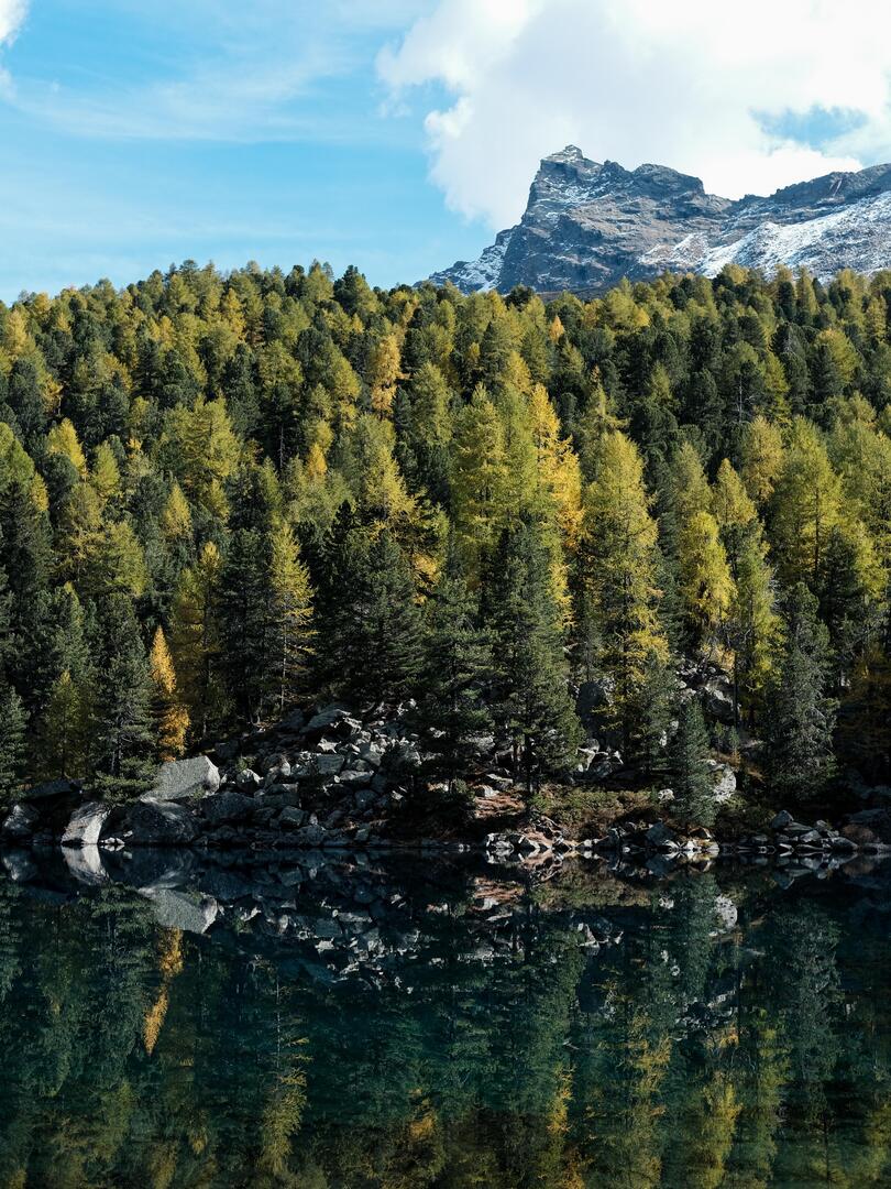 DocAtCDI's tweet image. Enjoy #OurEarthPorn!
(Steal This Hashtag for your own &amp;amp; join the community of Nature Addicts! )

Lago di Saoseo, Switzerland (OC) [4158 x 5546] 
Photo Credit: Kawaiilone 
.