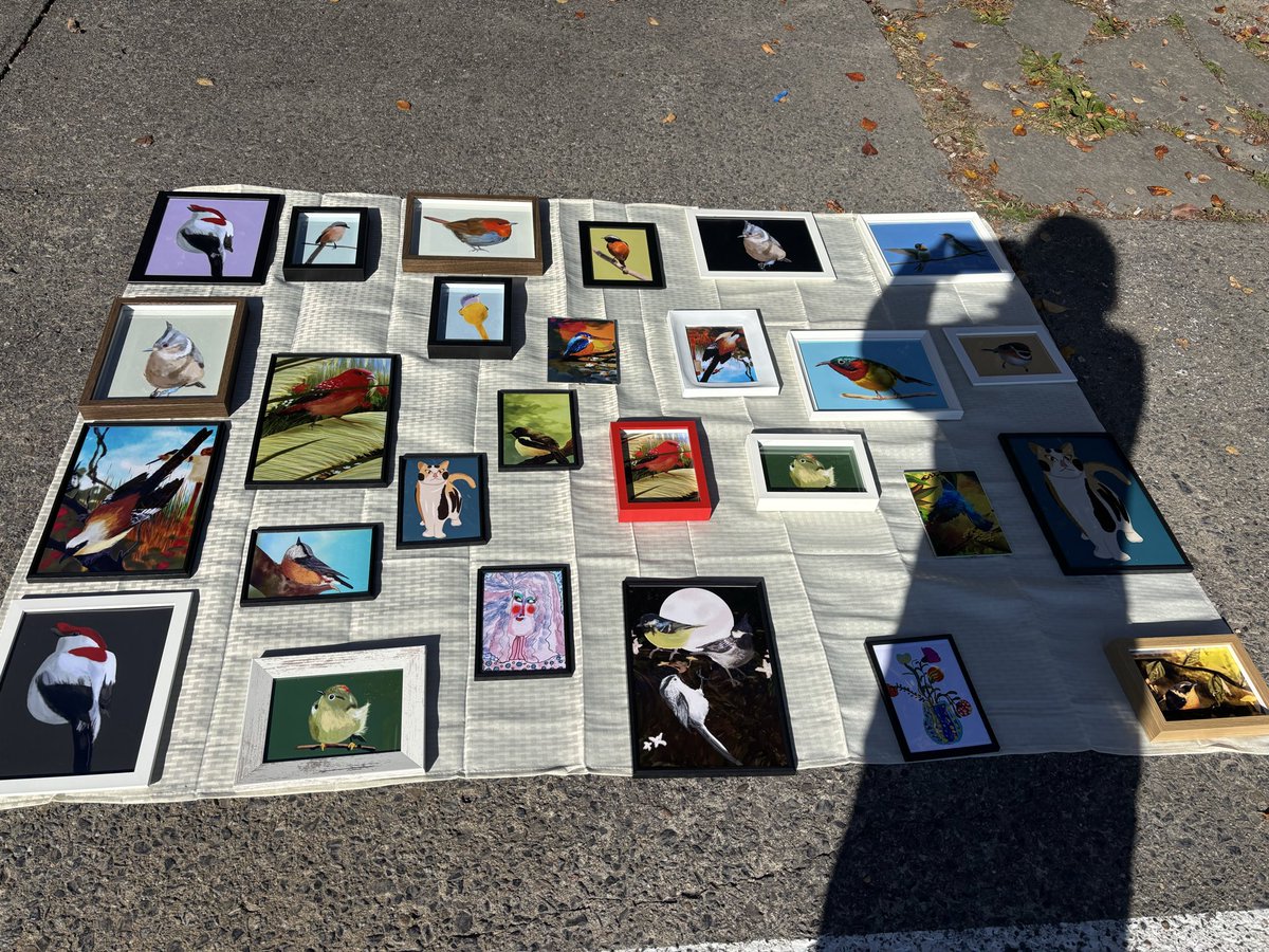 Today I’m selling my bird paintings at the Tam-Tams Festival on Mount Royal in Montreal. Welcome! 🎨🐦