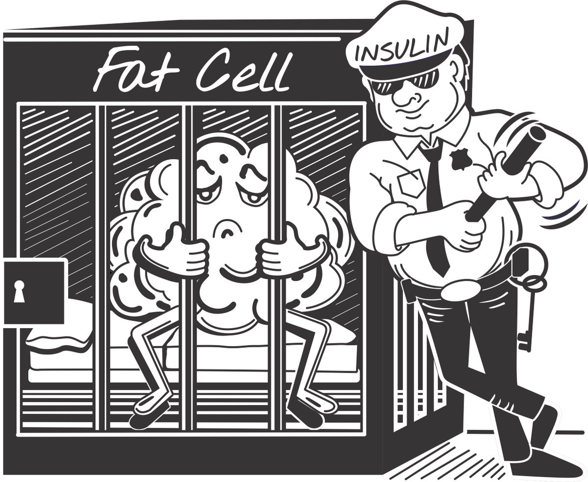 Insulin = fat-storing hormone.

Cut carbs → insulin drops → fat burns. 🔥

Kickstart your keto the right way (no tracking, no guessing).

FREE 7-day email challenge 👇
 adaptyourlifeacademy.kit.com/kickstart-your…