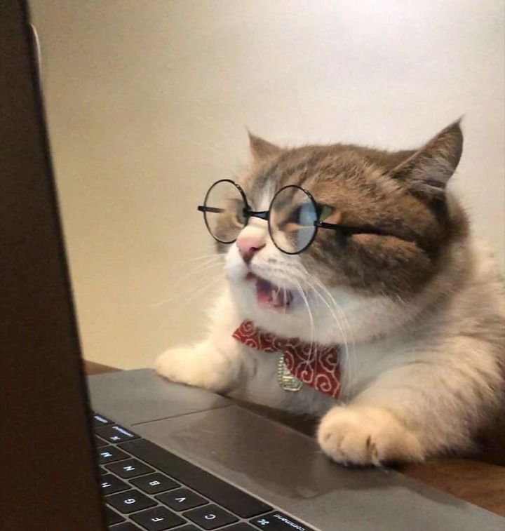 __Zephhy's tweet image. Me tryna understand how @multiplifi coins makin money while i’m just sittin here lookin at charts like this 😶