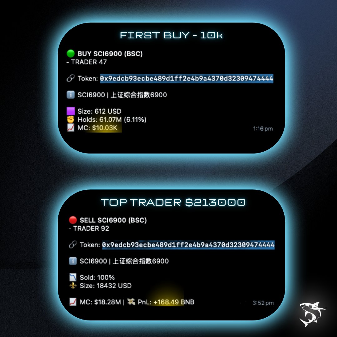 Alpha Shark tweet media