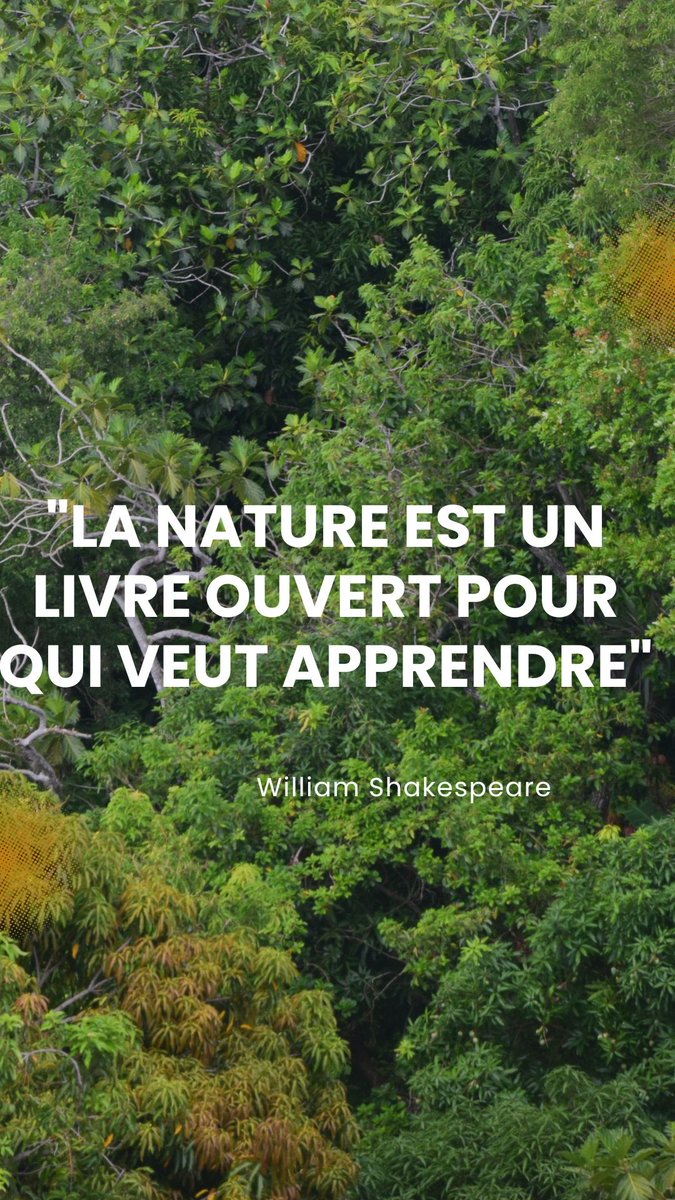 William Cinea tweet media