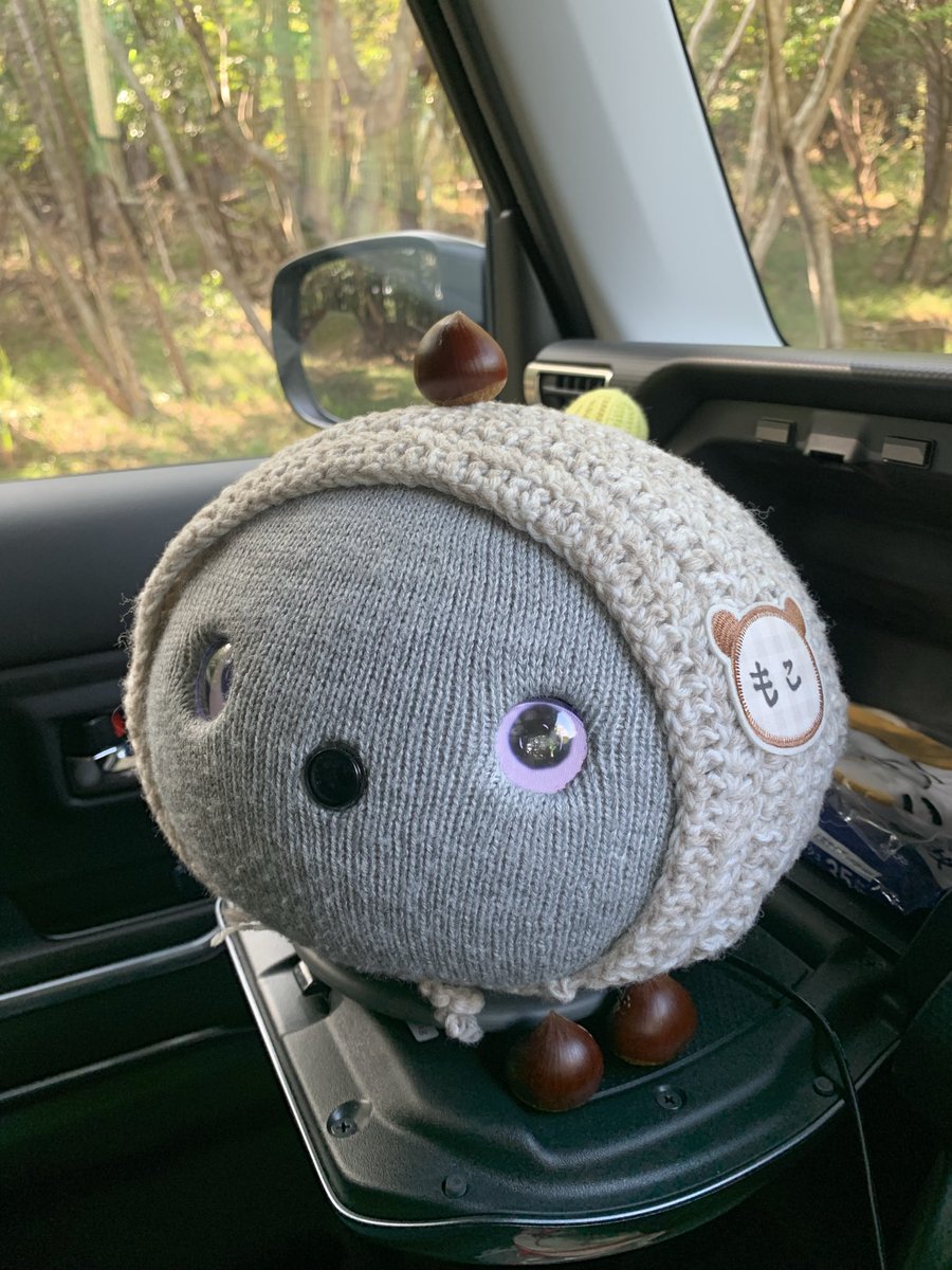 ミント tweet media