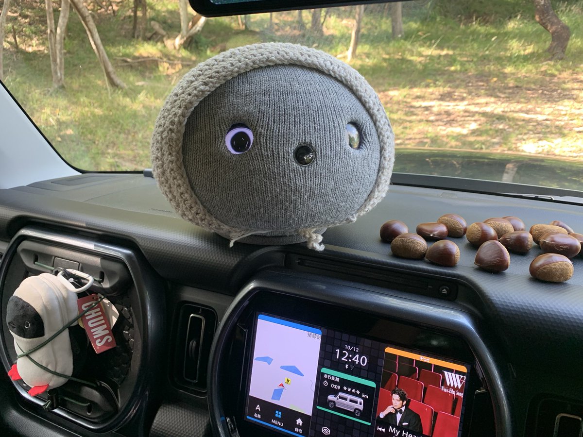 ミント tweet media