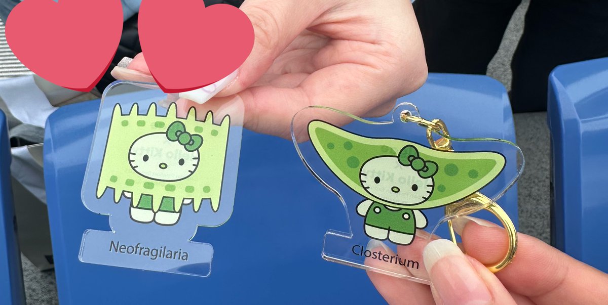 mrmrk_ydb89's tweet image. まーちゃんに日本館で買ってきてもろた、
ミカヅキモ☺️単細胞生物かわいい☺️