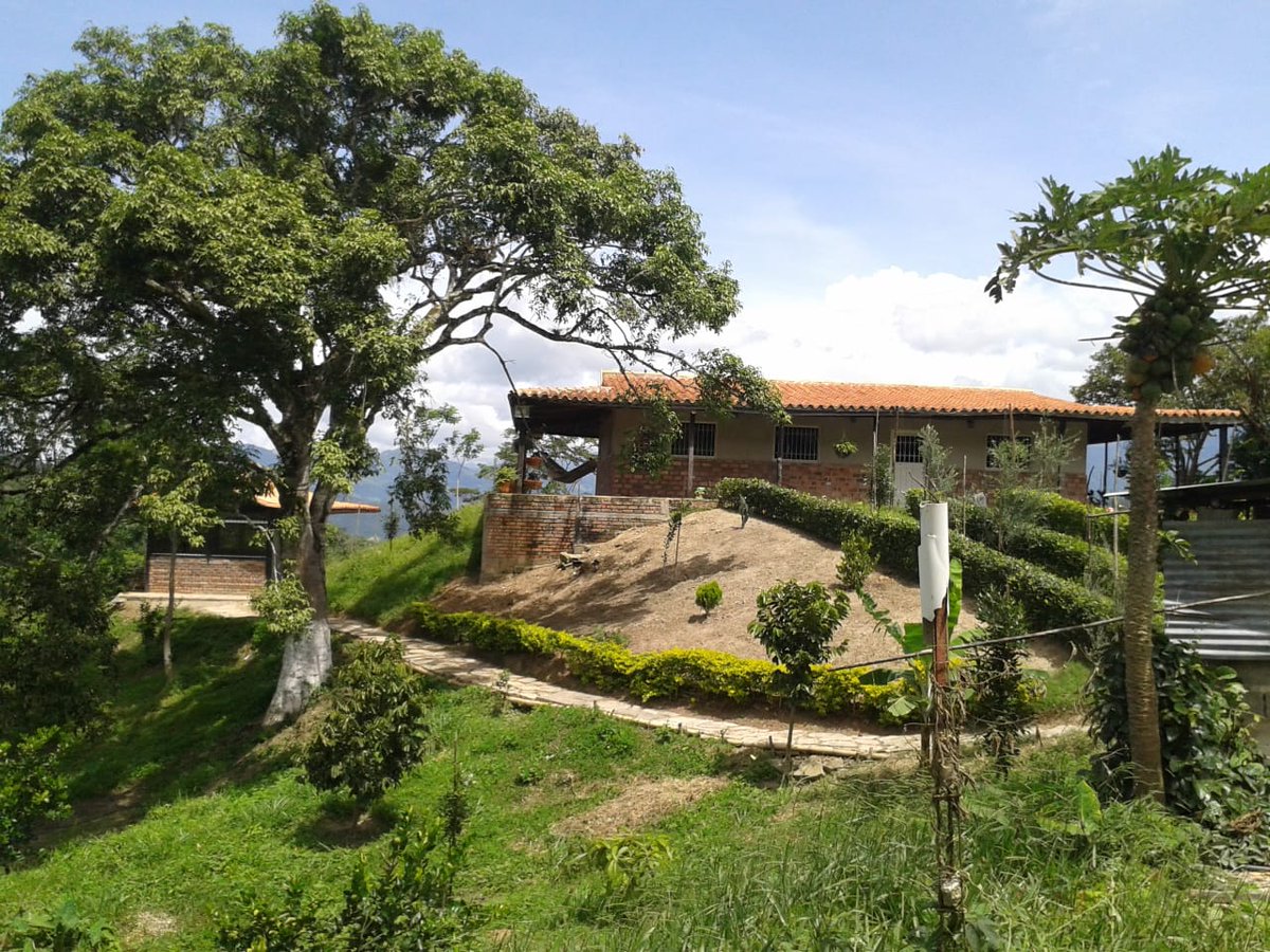 Mis hijos están bravos conmigo 😢🥺🥱🤣🤣

No les he permitido poner Internet aquí. 

Pero tengo una razón, si lo hago, se me acaba la paz y me undiria en trabajo, además ya mis vistas no me hablarán. 

Aquí es a la antigua, charlar reunidos, leer buen libro, dominó, etc