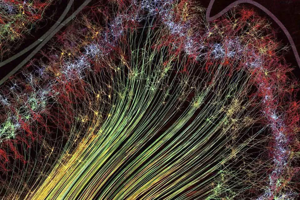 Katusha7738's tweet image. Look at what the neurons of the brain look like. A beautiful, cosmic sight! This is a micrograph by a method called Brainbow
All this rainbow of intertwined threads are real nerve connections
The more we explore the world and ourselves, the more beautiful we become on the inside!