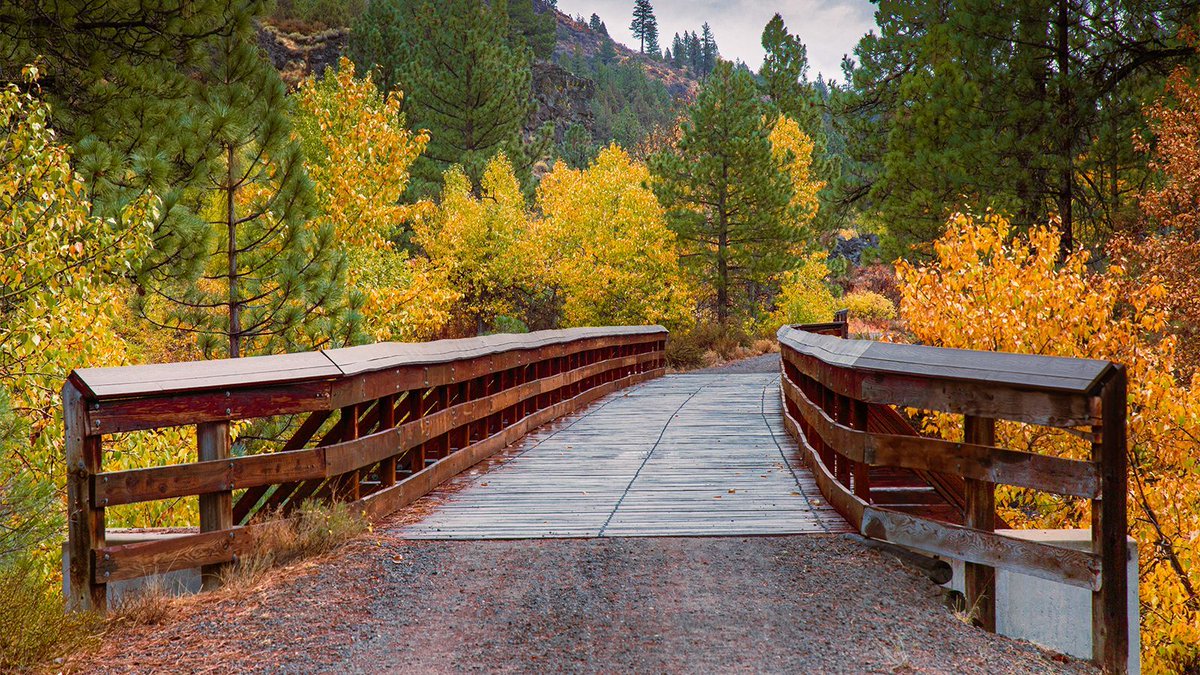 tpeakphotos's tweet image. A drizzly October morning on the Bizz Johnson Trail, near Susanville, CA 🍂 This bridge—just east of Devil’s Corral—was glowing with fall color, inviting hikers, bikers, and horses alike. 

buff.ly/6JGtN0f 

#RailsToTrails #FallColors #LassenCounty