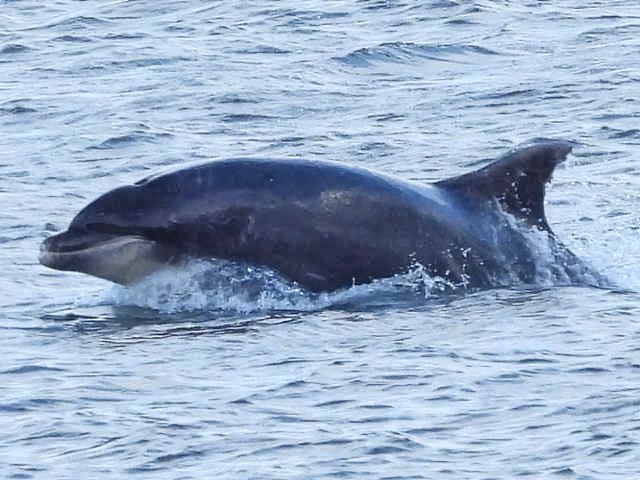 Alan Wrightson tweet media