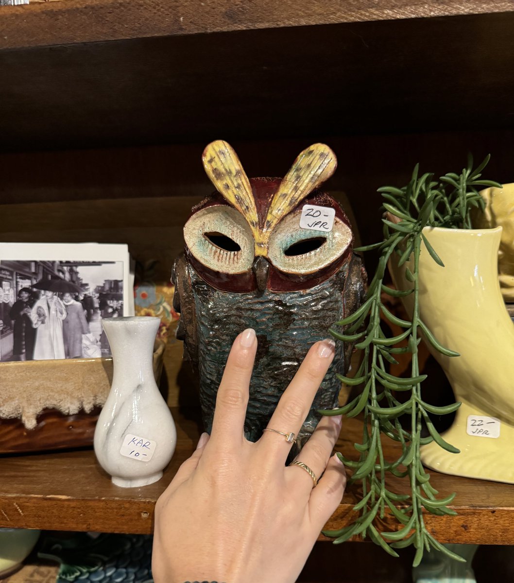 sahibcantsingh's tweet image. There is nothing I hate more than supporting local businesses. purchasing “knick knacks” that generate no income. For a second I felt drawn to this owl but not for $20. I was able to haggle w the decrepit old lady. "$4 is the lowest I can go. please i have to make a living" she…