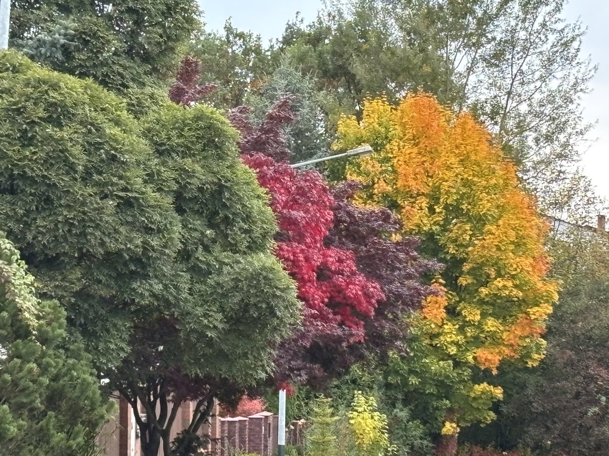 Idzie jesień , nieubłaganie Ale pięknie. Coraz więcej żółci , pojawia się brązowa barwa a czasem nawet czerwień. Pięknie ! . Kraków w jesiennych barwach …