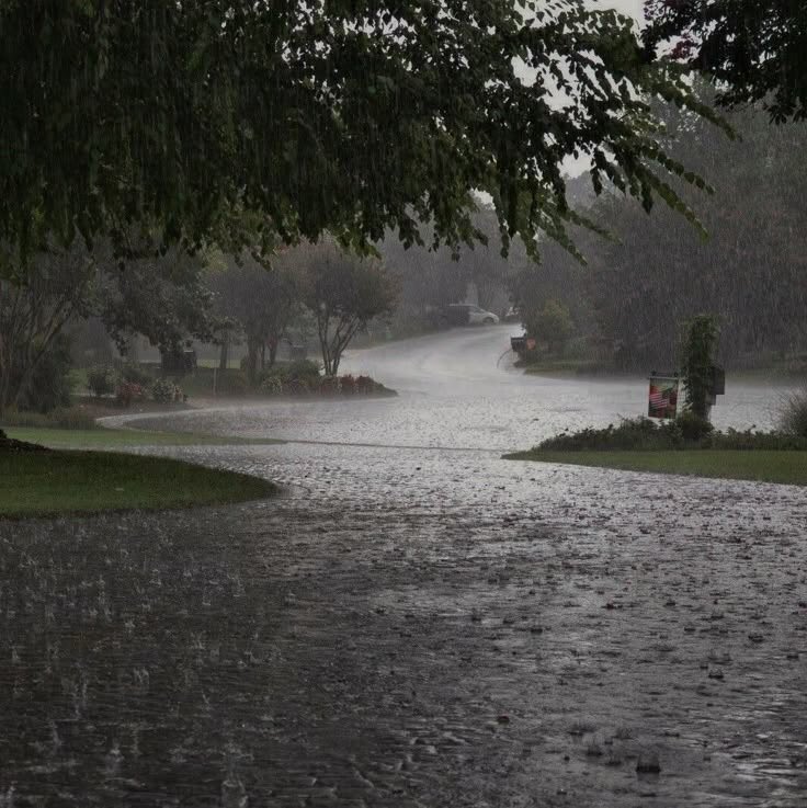 lightx0x's tweet image. It’s time to let go and move on.