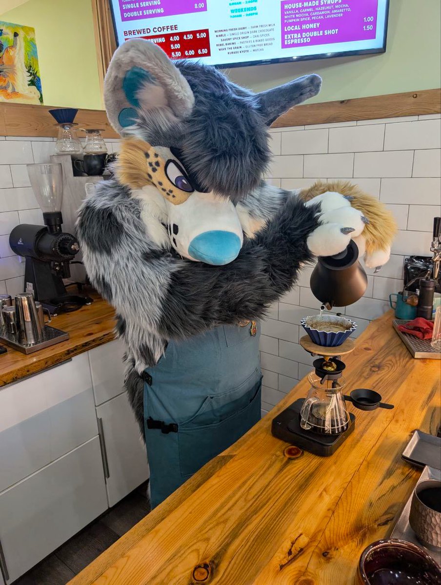 Always gotta get a morning brew!

🧵: <a href="/mixedcandy/">Mixedcandy Inc</a> 

#FursuitEveryday