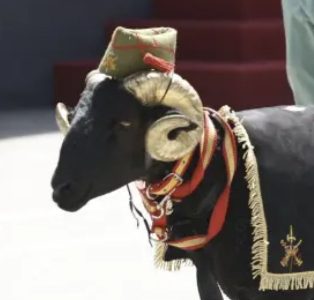 DPRK_CAODEBENOS's tweet image. Desde el Eje Antiimperialista se toma nota de los avances del Ejército Otanista de España en estos años. La cabra blanca fue sustituida por un becerro negro (Por el tema de inclusión racial) y no hubo que lamentar paracas heridos por farolas. Felicidades.