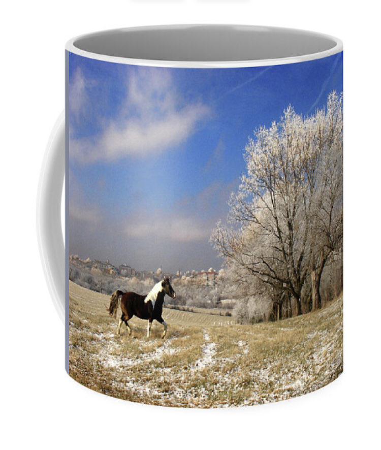 Check out this photograph on steve-karol.pixels.com/featured/frost… 
#art #homedecor #interiordesigners #horses #ranchlife #rural #giftideas #winter #Christmas #landscapeart