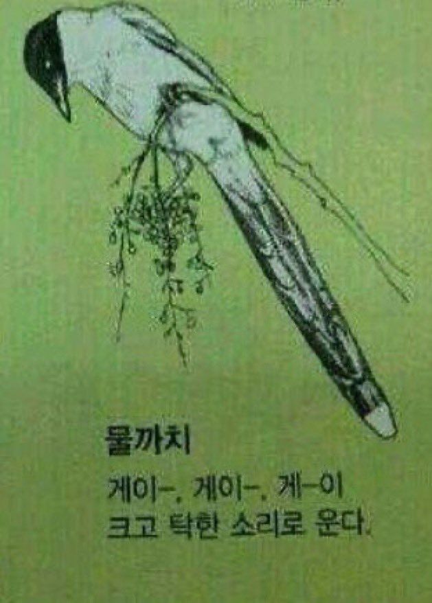 Tweet media one
