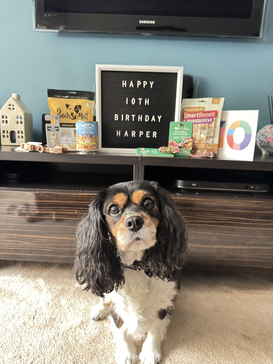 Toby & Harper tweet media