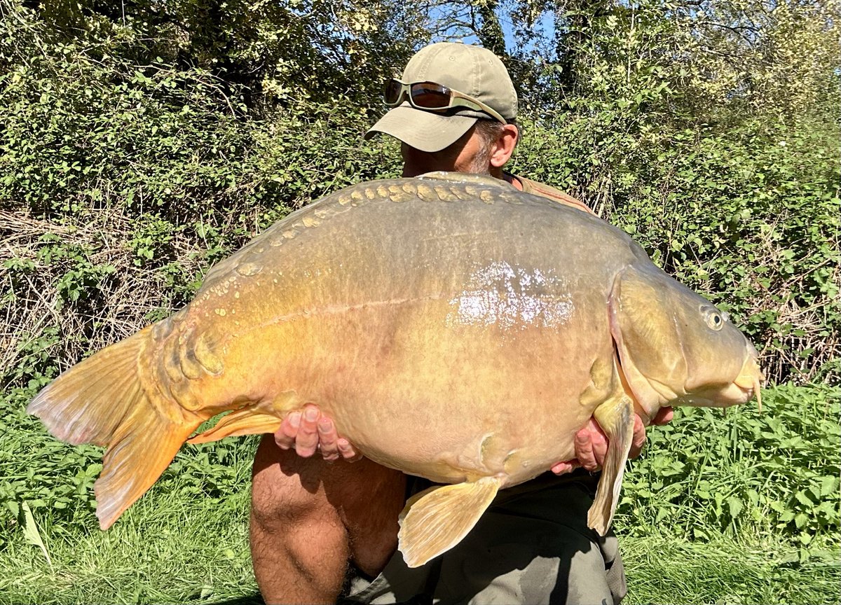 💥BOOM💥A BIG GAL HAS LANDED🐝🐝🐝🐝
And a new Public water PB @ 57lb-4oz (26kg)!
What a Dogged fight that was! In and out of the sunken stumps 🪵holding its weight at distance, I could barely move it..🐳
But slowly but surely it made its way to the back of my waiting Net..💣💣