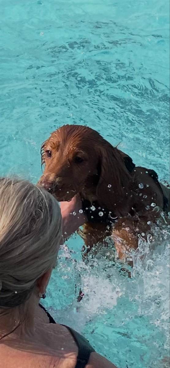 CopsonSharon's tweet photo. Fantastic experience today with my boy at Cheltenham Lido https://t.co/WKmJYwzmvA