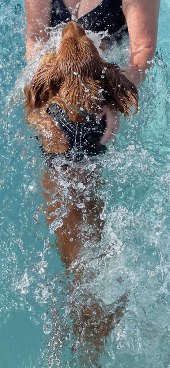 CopsonSharon's tweet photo. Fantastic experience today with my boy at Cheltenham Lido https://t.co/WKmJYwzmvA