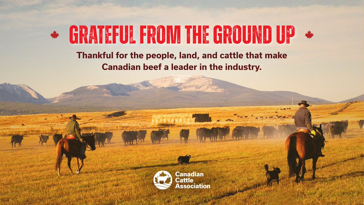 Happy Thanksgiving!

#thanksgivingcanada #Thankful  #grateful