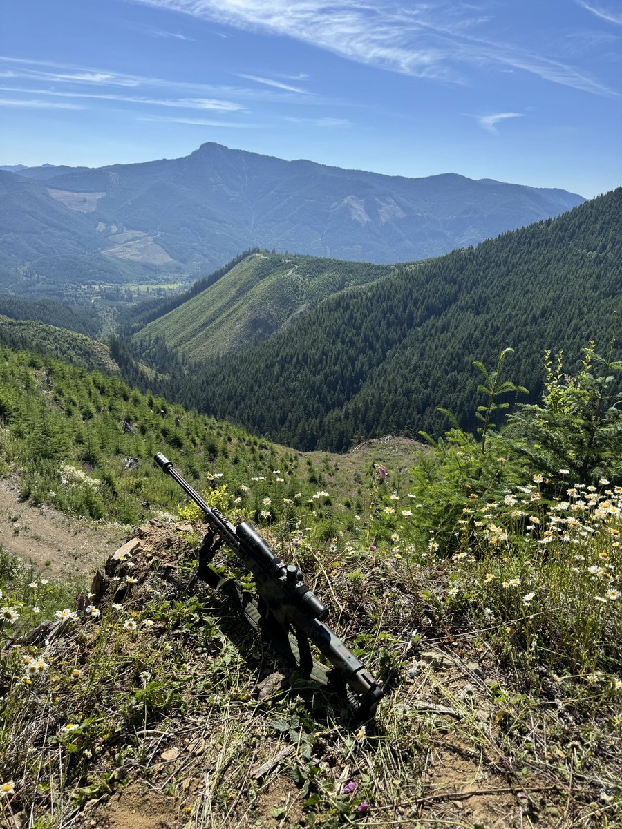 PNWGUERRILLA tweet media