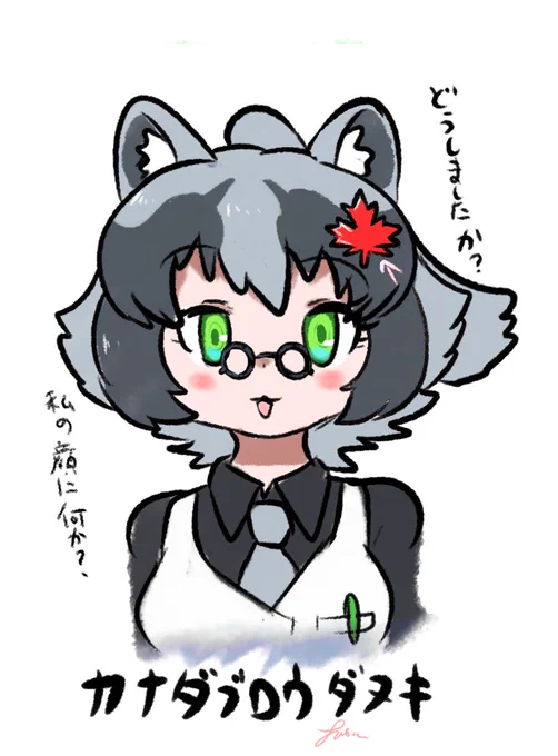 カナダブロウダヌキ