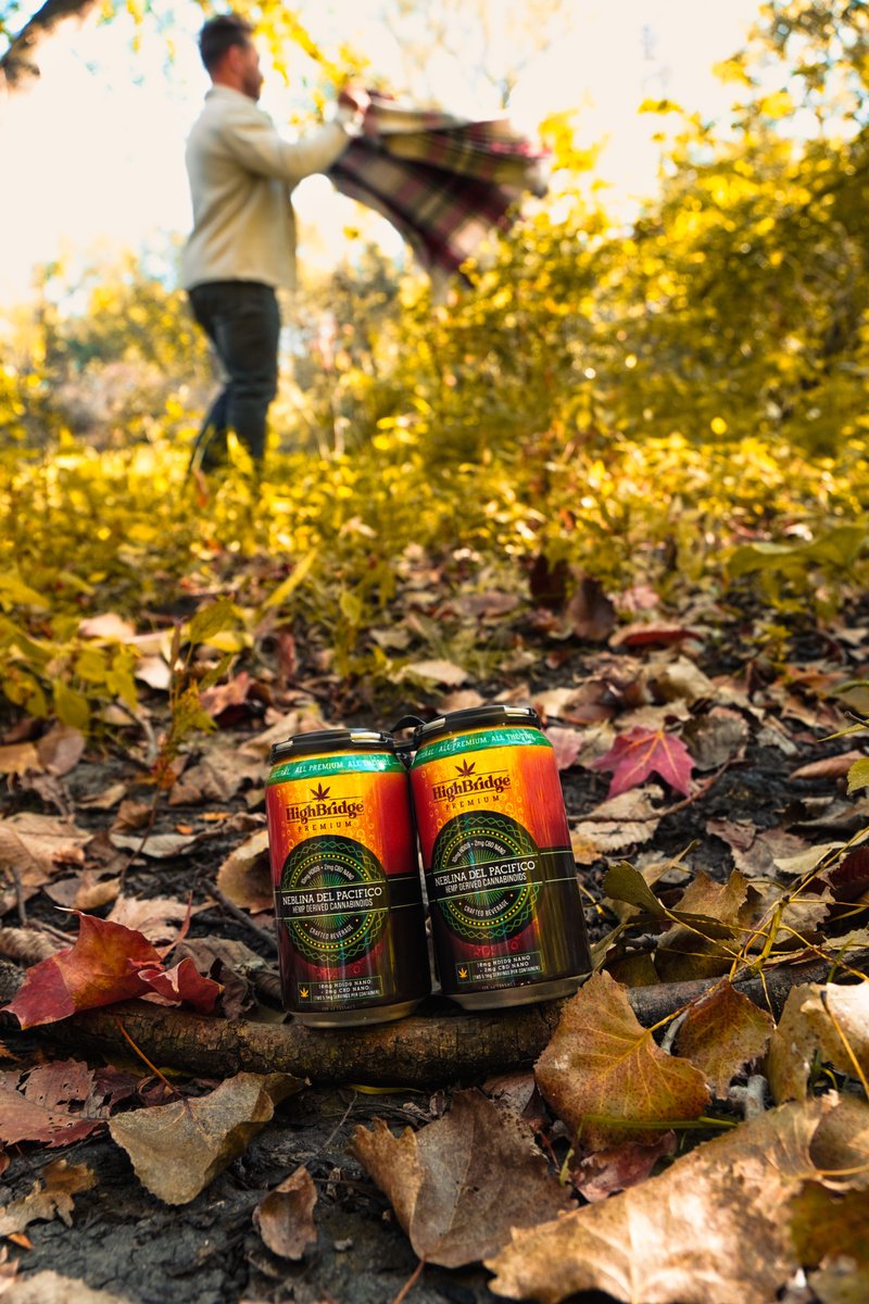 #Blanket? ✅  Crisp Air? ✅

A can of Neblina Del Pacifico to make it all better? ✅✅

Because #fall hits different when your #drink does too.