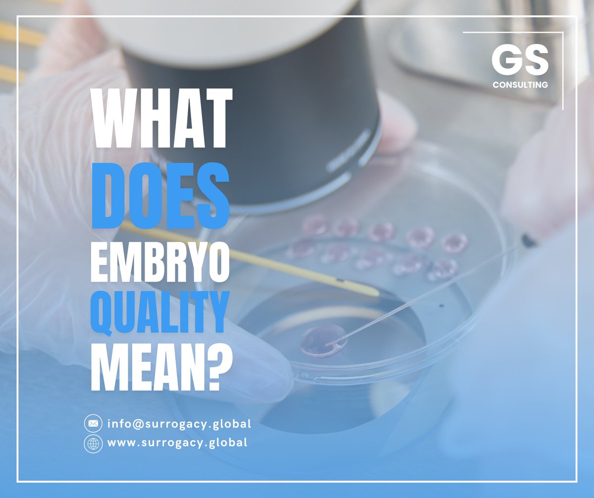 Embryo quality is evaluated with its three components based on Gardner’s evaluation system. Doctors select the best quality embryo for transfer. High-quality embryos have a greater chance of leading to a successful pregnancy,