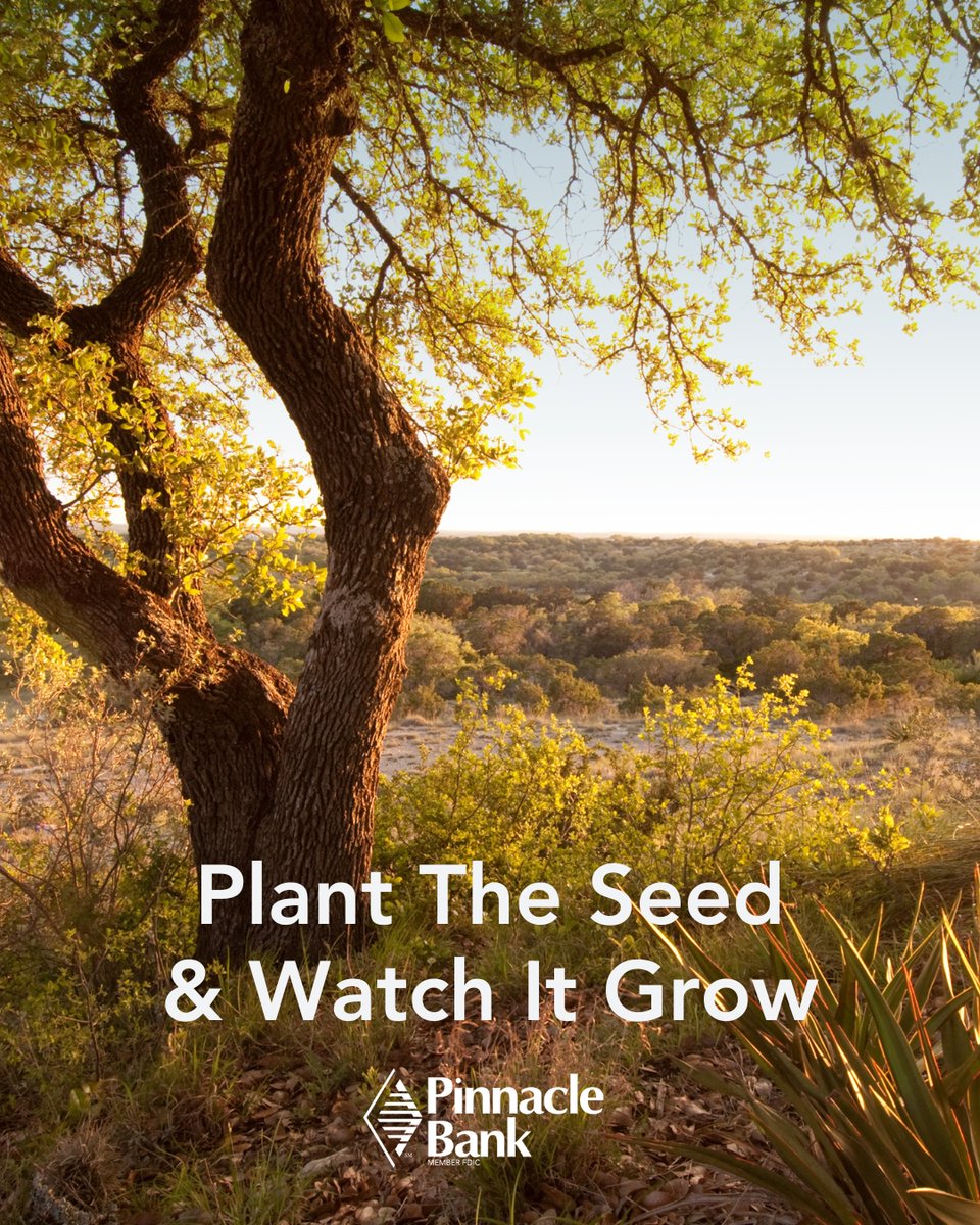 National Savings Day is a reminder that progress comes from steady habits, not big leaps.🌱

Automate transfers, start with what you can, and let interest do the rest. A PinnSavings account makes it simple.

Learn more here: pinnbanktx.com/personal-banki…

#TheWayBankingShouldBe