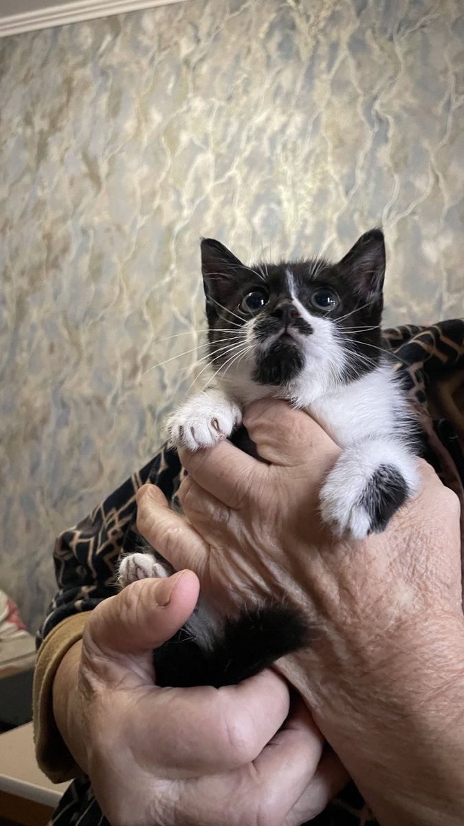 PasichnykOlga's tweet image. Отже, зловили нарешті це чудо
Дівчинка 🥹
Рівне, але організуємо транспорт по Україні
Малеча чекає на найкращі руки