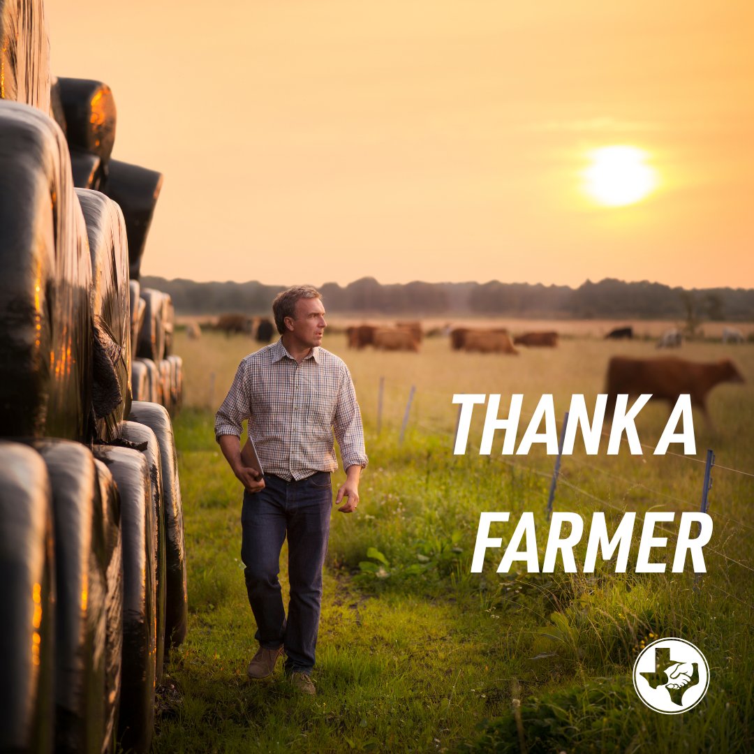 GermaniaIns1896's tweet image. Today we tip our hats to the heroes of the harvest. 🌾 Happy #NationalFarmersDay to all the farmers who keep Texas fed and flourishing. We’re proud to stand with you. 

#GermaniaInsurance