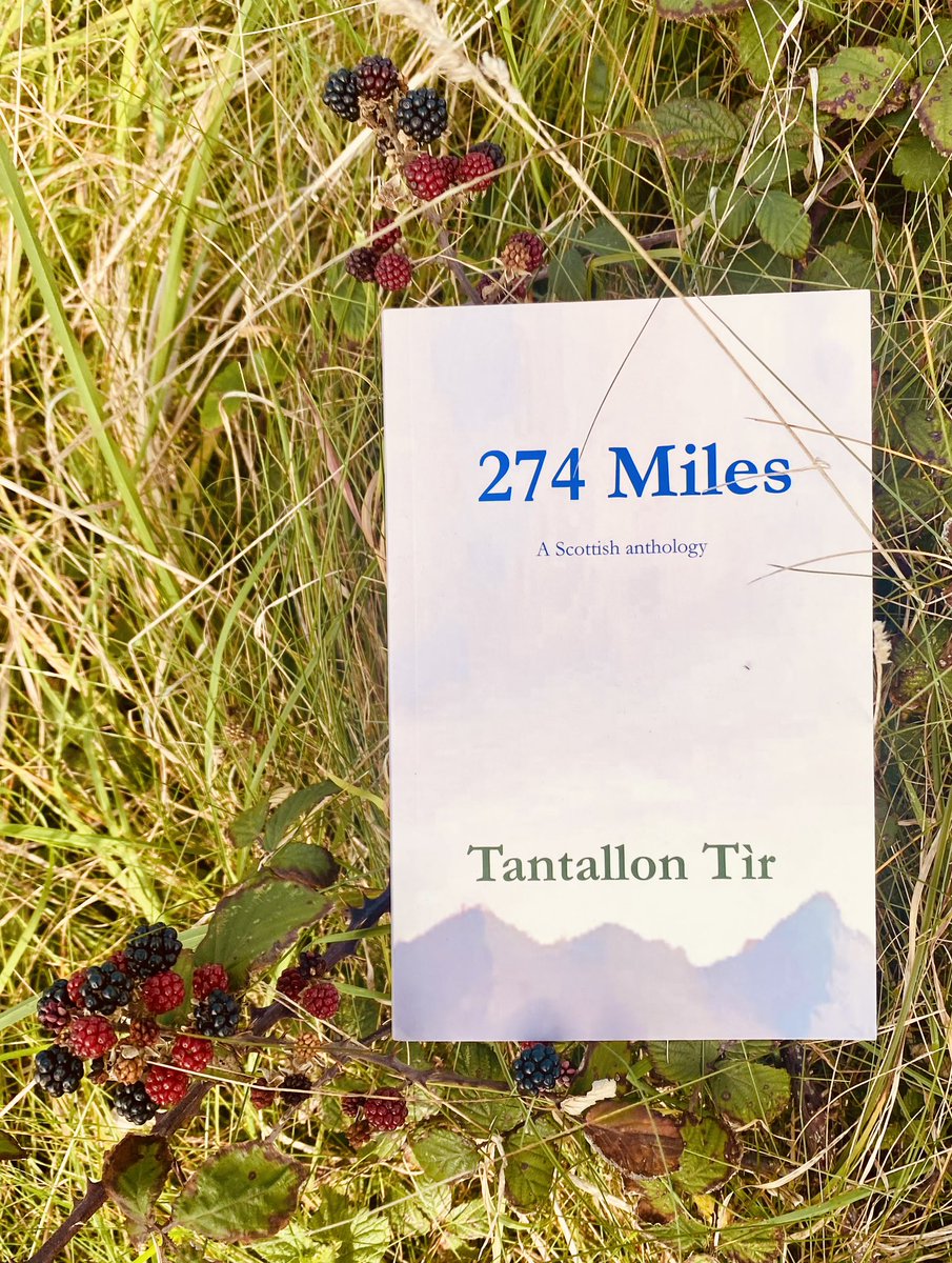 ‘Father’ by Coinneach MacIntyre is a heartbreaking story about a missing father and his daughter. 
#274Miles