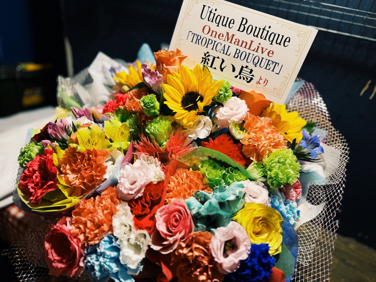 取り急ぎ！

Utique Boutique One Man Live
" TROPICAL BOUQUET "

ご来場の皆様ありがとうございます💐

お互いの曲を全てコラボで全16曲

Utique Boutique の為に小玉も新曲書き下ろしました🫶
「 Reset 」というタイトルでした！ﾄﾞｷﾄﾞｷ

素敵なトロピカルブーケットいただきました〜💐