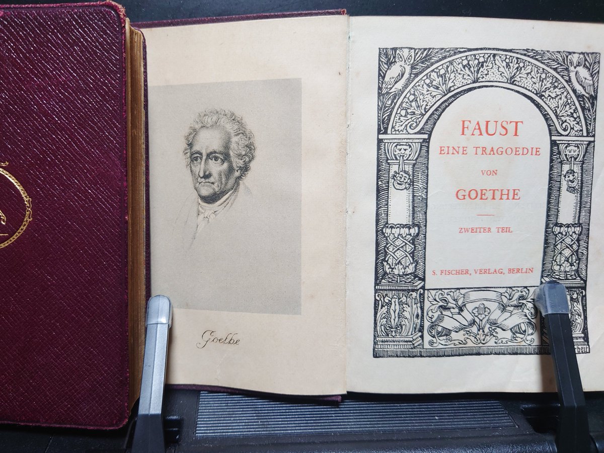 イヌビエルラ tweet media