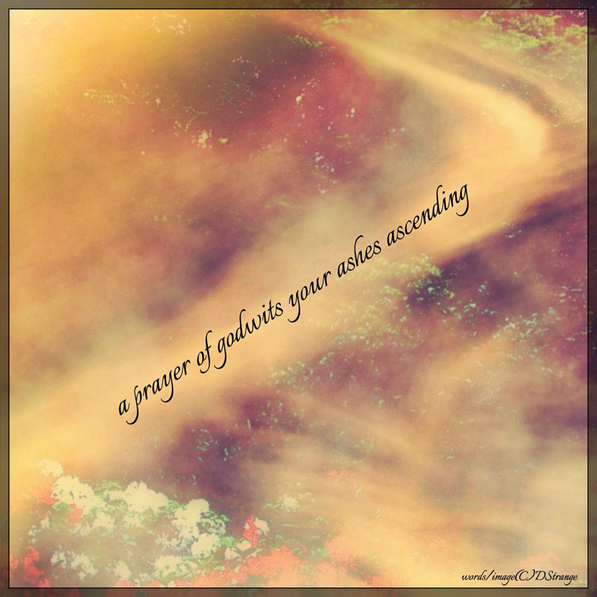 Debbie_Strange's tweet image. Haiga in Focus, Oct &amp;amp; Aug/25 - TY Claudia!

#haiga #OneLine #haiku #senryu