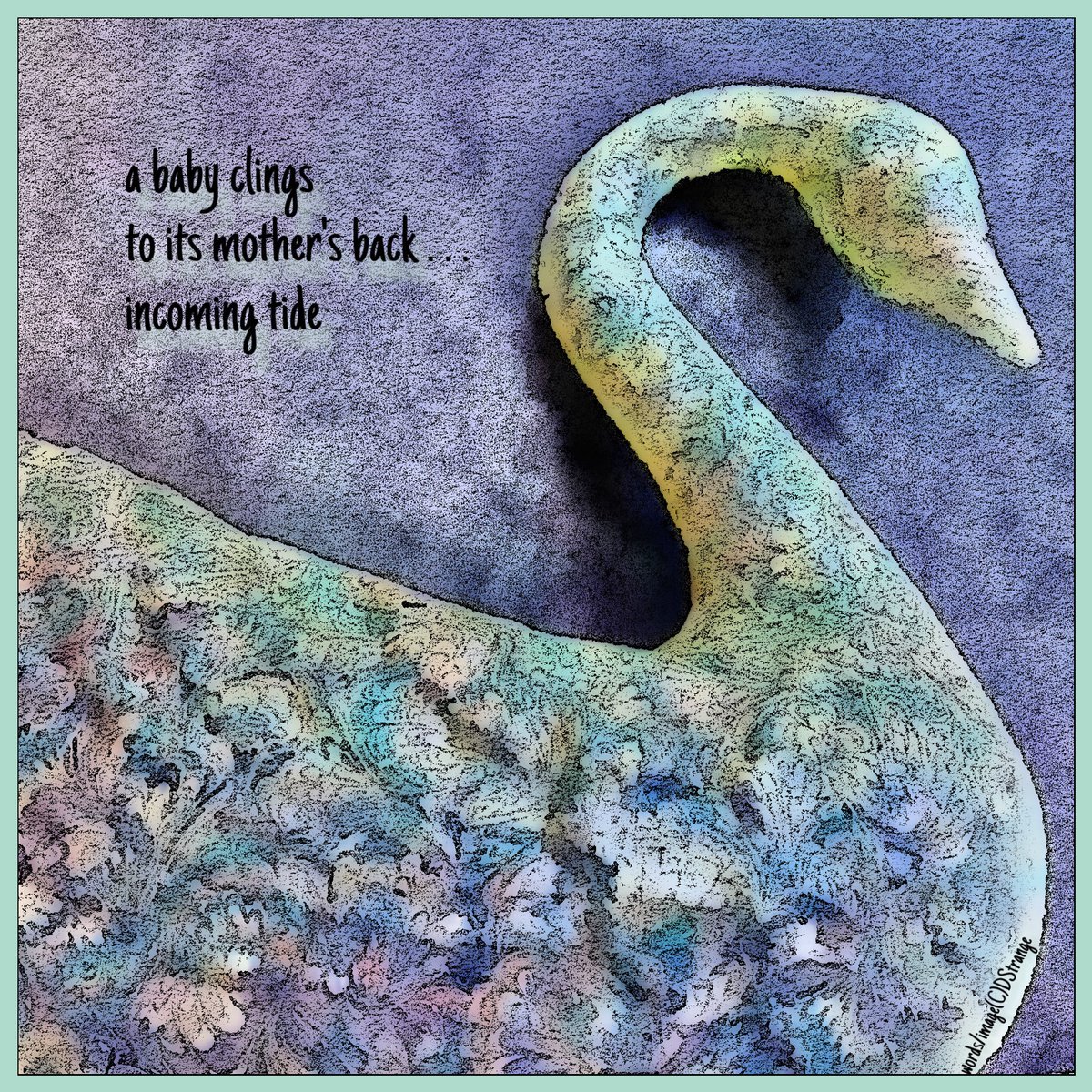 Debbie_Strange's tweet image. Haiga in Focus, Oct &amp;amp; Aug/25 - TY Claudia!

#haiga #OneLine #haiku #senryu
