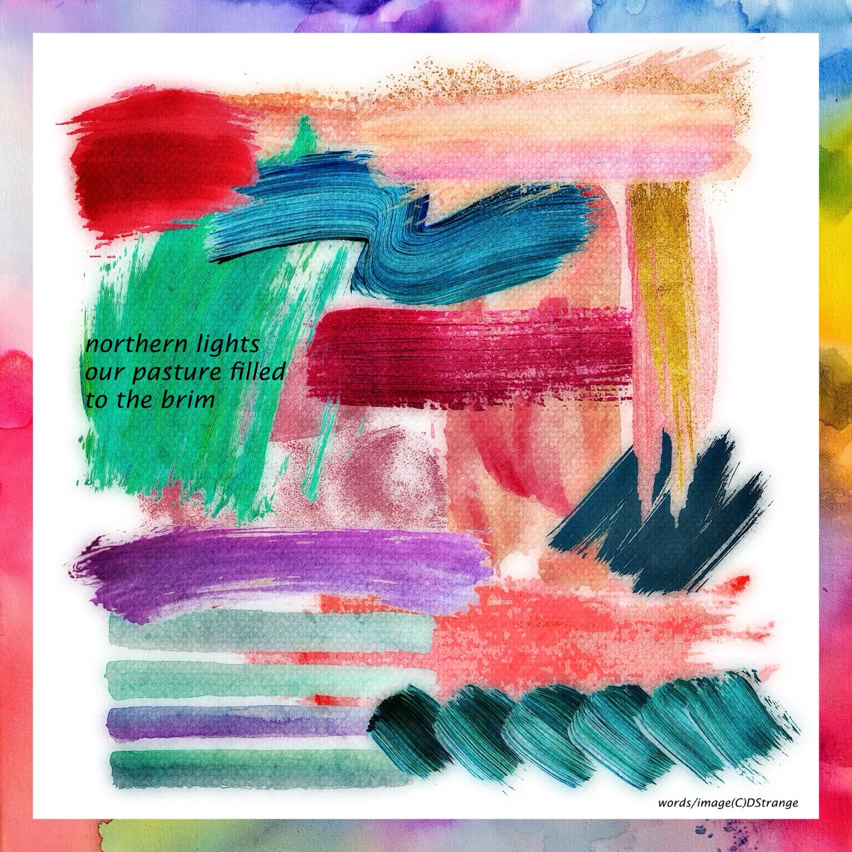 Debbie_Strange's tweet image. Haiga in Focus, Oct &amp;amp; Aug/25 - TY Claudia!

#haiga #OneLine #haiku #senryu