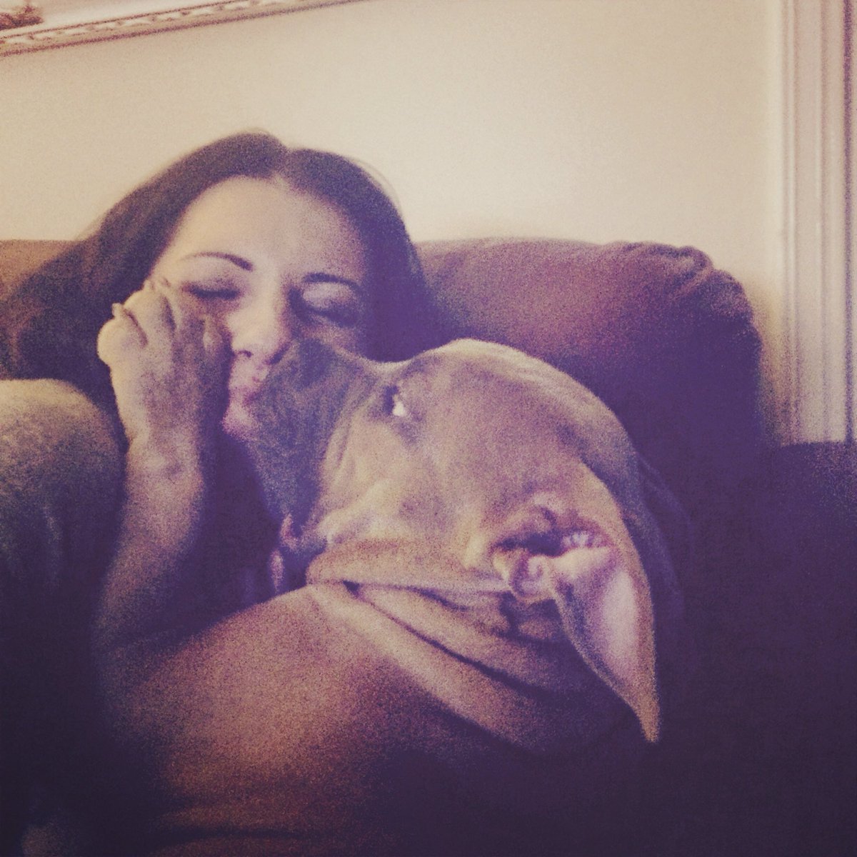 farmingandJesus's tweet image. Well my sweet little 3 legged 11 year old boy is back to being sick so we are headed to the emergency vet now , would you mind saying a prayer that they can fix this, even though my I think it’s really bad honestly and I think we’re about to get bad news….💔 I’m so upset. I love…