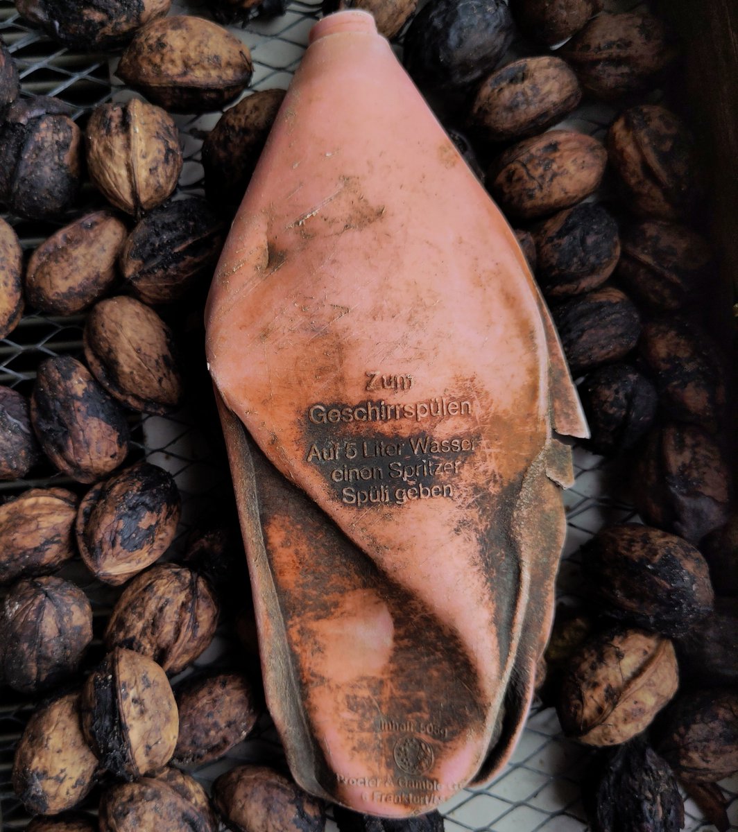 Afwasmiddel flacon van het Duitse merk "Spüli" sinds 1965 van <a href="/ProcterGamble/">Procter & Gamble</a> en in 1992 vervangen door Fairy. Vandaag van de hoogwaterlijn van storm Amy geplukt.