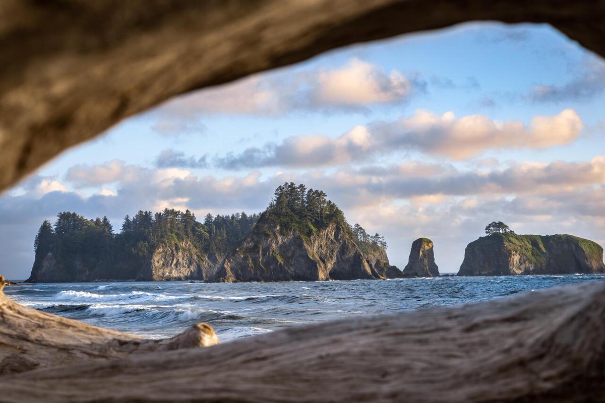 DocAtCDI's tweet image. Enjoy #OurEarthPorn!
(Steal This Hashtag for your own &amp;amp; join the community of Nature Addicts! )

Driftwood at Rialto Beach [OC] [4000x2667] 
Photo Credit: andrewrimanic 
.