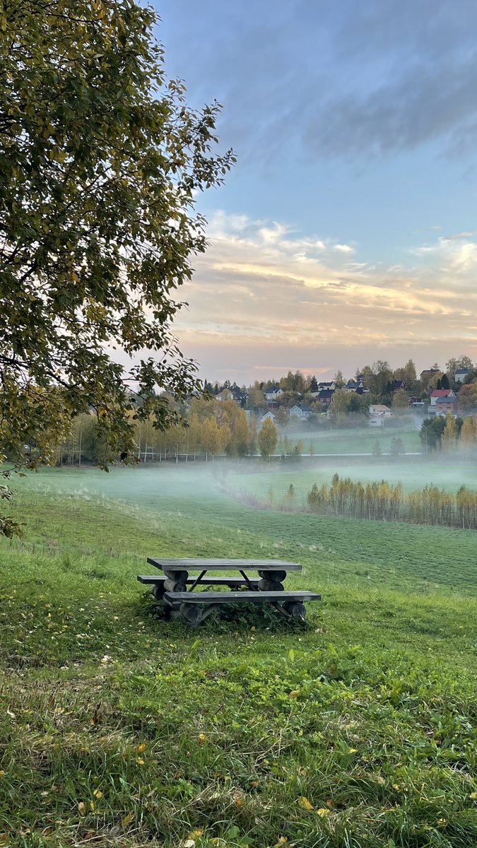 Mirre47's tweet photo. På en #promenad här i #Kramfors här om dagen🍁🥀🍂🌤️🌫️Finns inget som är så stärkande, och lugnande och energigivande på samma gång, som att vara ute i vår vackra natur!😍

#höst #autumn #Sverige #Sweden #Ångermanland #Västernorrland #landskap #landscape #ModerNatur #MotherNature https://t.co/MKfdw9Or7s