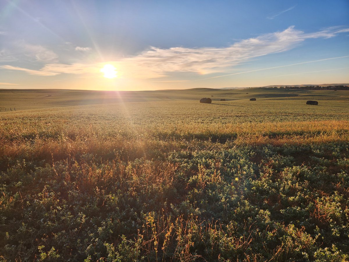 Post a picture you took. Just a pic, no description.