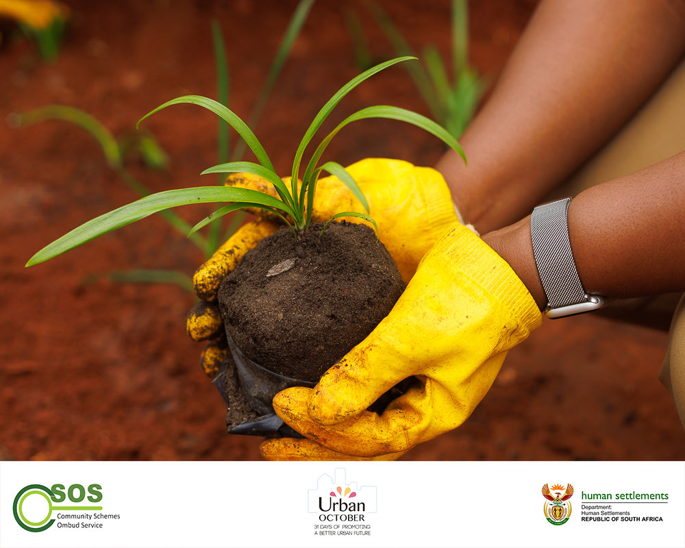 CSOS_SA's tweet image. TODAY we are visiting our forth establishment . Assisting in the beautification of their space.
CSOS in partnership with the department of Human Settements and the UN- Habitat are ready to show up, educate and engage with each and everyone of you.
Keep glued to our social…
