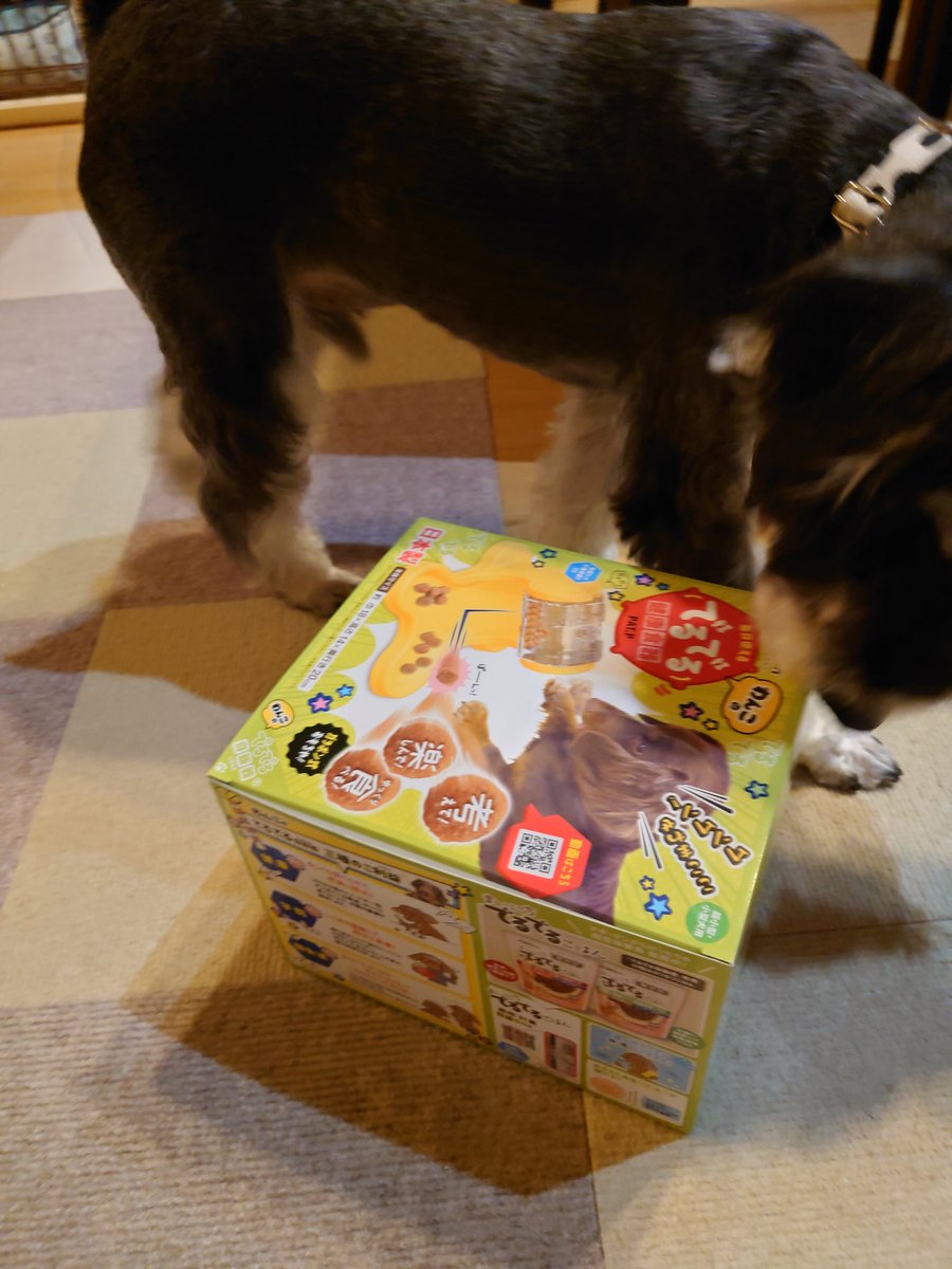 ねえこれ、
ちょっとまえに
わんこかいわいで　はやってたやつじゃない？🧐🐶🎡