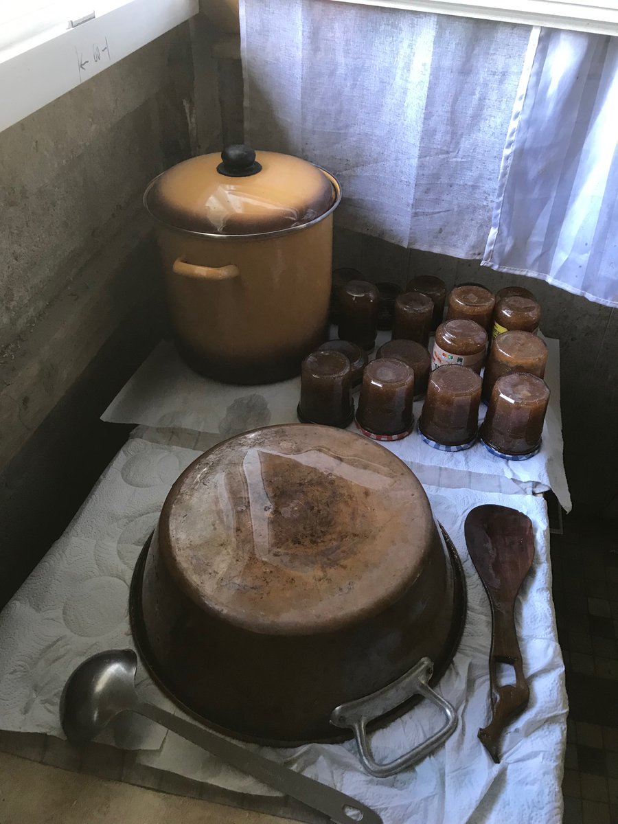 kesskoikouij's tweet image. Contre le ver dans le fruit 
… le #fruit dans le  #verre 🍏

Après la pêche de vigne 🍑
#Figues violettes et pommes canada grise 🍏