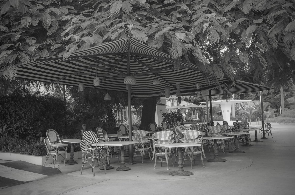 Midbeachmaven's tweet photo. Lincoln Road (Miami Beach). https://t.co/TuaMsP7TcB (Jeff Gale). https://t.co/TB8cGK0xlS